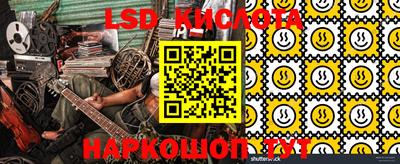 крисы Краснодар