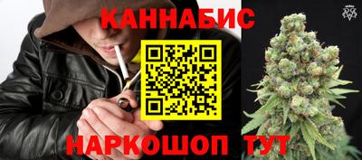 крисы Краснодар