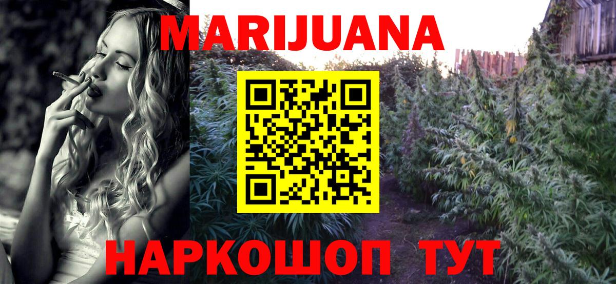 Канабис сатива Калининград